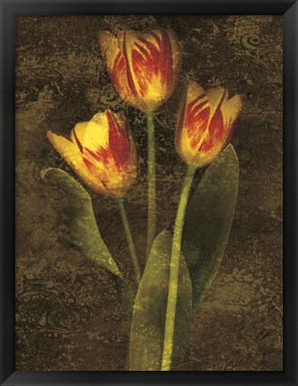 Framed Three Tulips Print