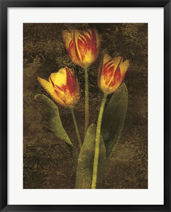 Framed Three Tulips Print