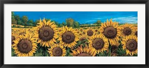 Framed Campo di Girasoli Print