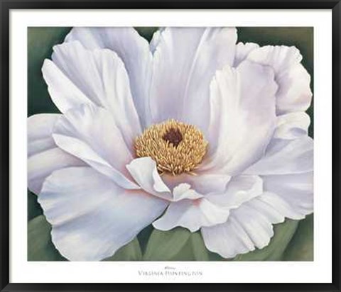 Framed Virginia Huntington - Peony Size 39.75x34 Print