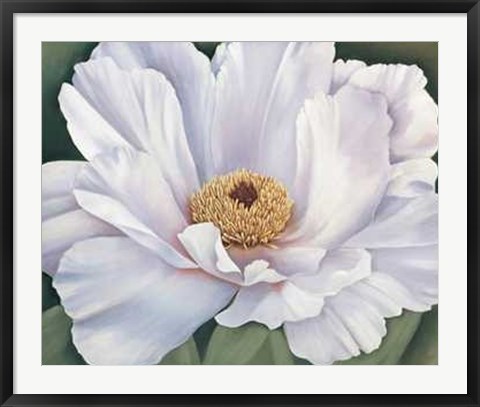 Framed Virginia Huntington - Peony Size 39.75x34 Print