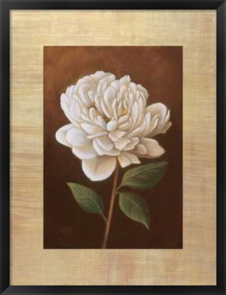 Framed Fleur de Magnolia Print