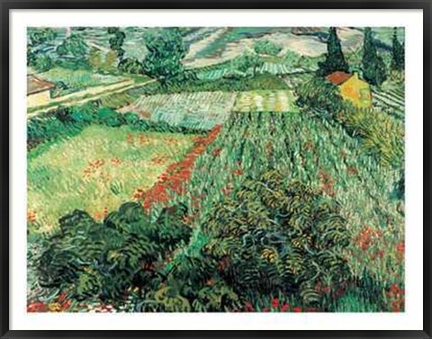 Framed Field of Poppies, St.Remy Print