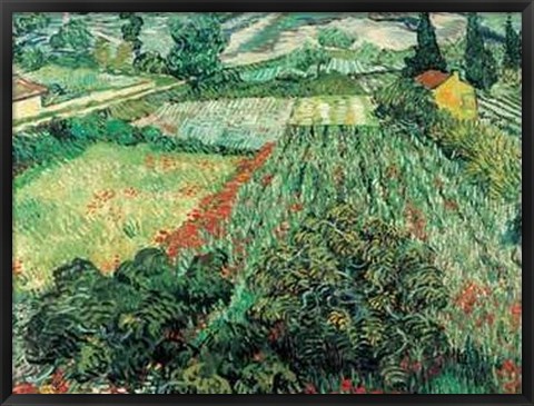 Framed Field of Poppies, St.Remy Print