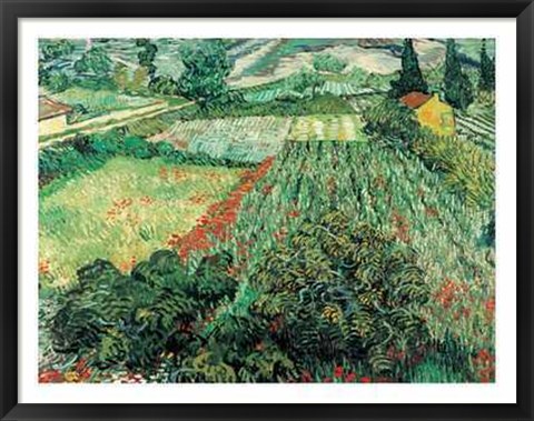 Framed Field of Poppies, St.Remy Print