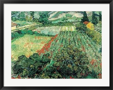 Framed Field of Poppies, St.Remy Print