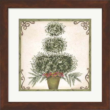 Framed Topiary III Print