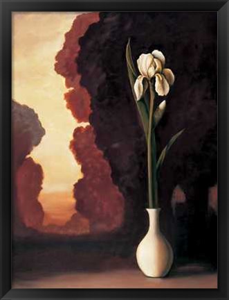 Framed Floral Sunrise II Print