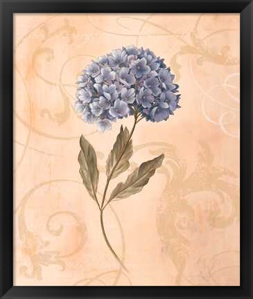 Framed Hydrangea Print