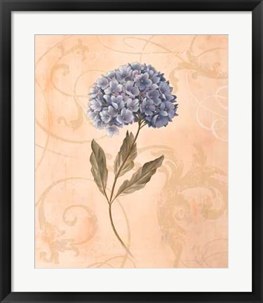 Framed Hydrangea Print