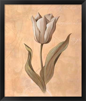 Framed Tulip Print