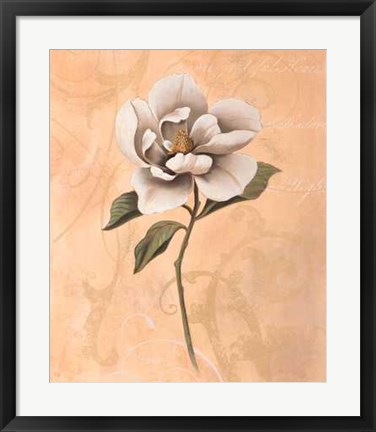 Framed Magnolia Print