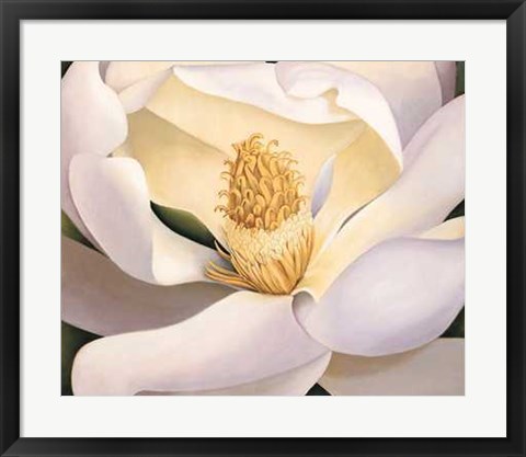 Framed Virginia Huntington - Magnolia Size 23.75x19.75 Print