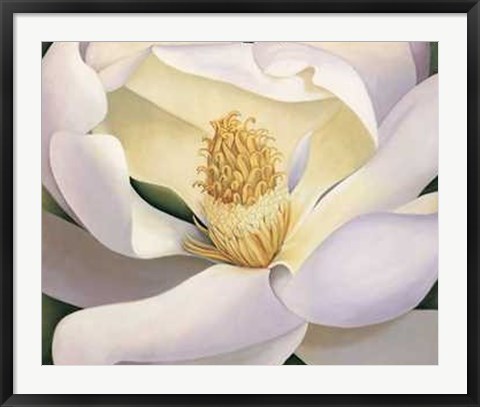 Framed Virginia Huntington - Magnolia Size 39.75x34 Print