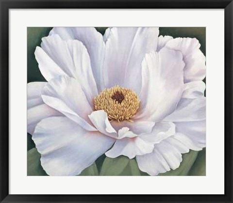 Framed Peony Print