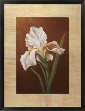 Framed Virginia Huntington - Fleur de Iris Size 23.75x31.5 Print