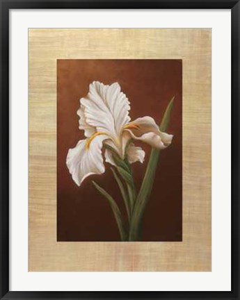 Framed Virginia Huntington - Fleur de Iris Size 23.75x31.5 Print