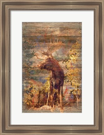 Framed Majestic Moose Print