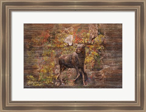 Framed Moose Meadow Print