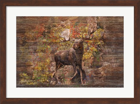 Framed Moose Meadow Print