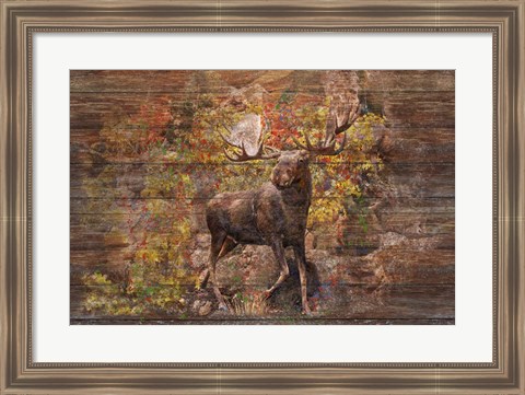 Framed Moose Meadow Print