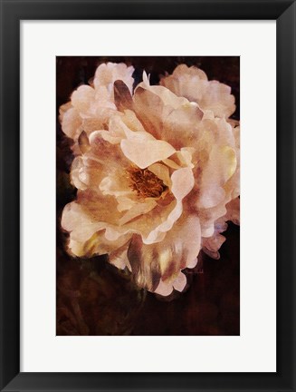 Framed White Beauty Print