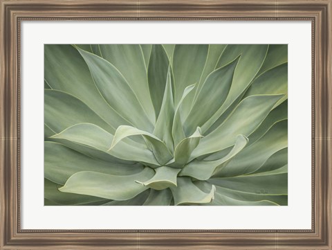 Framed Elegant Agave Print