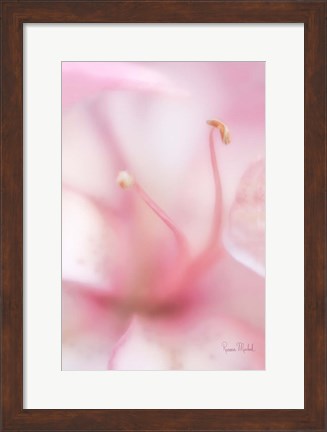 Framed Softness Print