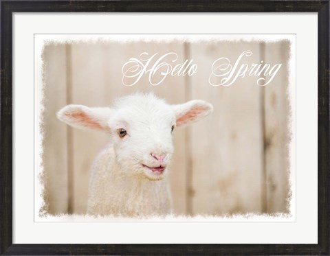 Framed Hello Spring Lamb Print