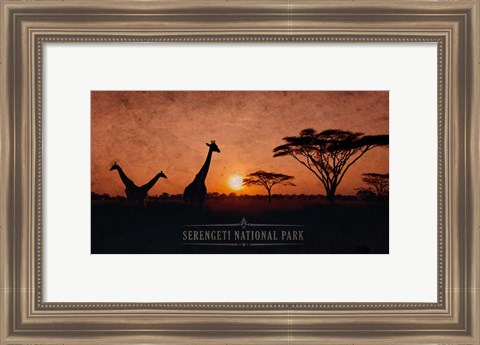 Framed Vintage Sunset with Giraffes in Serengeti National Park, Africa Print