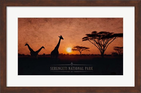 Framed Vintage Sunset with Giraffes in Serengeti National Park, Africa Print