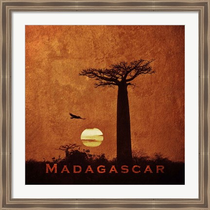Framed Vintage Baobab Trees at Sunset in Madagascar, Africa Print