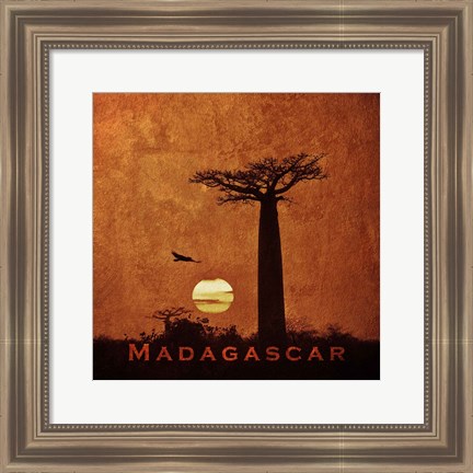 Framed Vintage Baobab Trees at Sunset in Madagascar, Africa Print