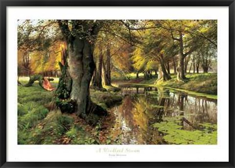 Framed Woodland Stream Print