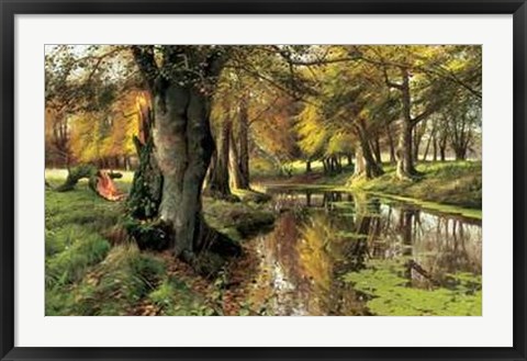 Framed Woodland Stream Print