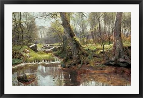 Framed Woodland Spring Print