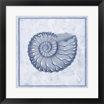 Framed Blue Nautilus C Print