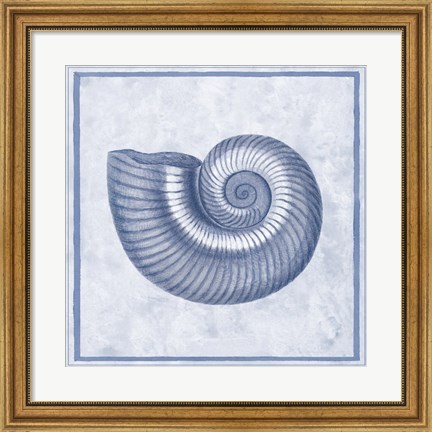 Framed Blue Nautilus D Print