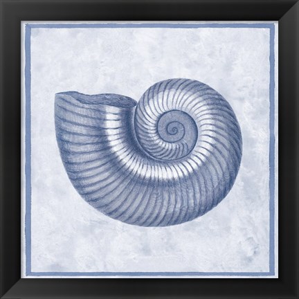 Framed Blue Nautilus D Print