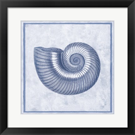 Framed Blue Nautilus D Print