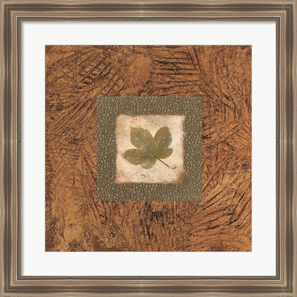 Framed Sedona Naturals B Print