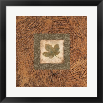 Framed Sedona Naturals B Print