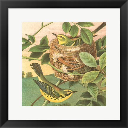 Framed Goldfinch &amp; Warbler B Print