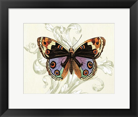 Framed Butterfly Theme I Print