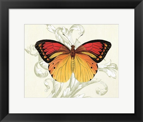 Framed Butterfly Theme III Print