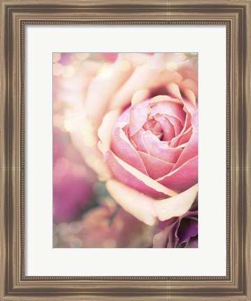 Framed Rosie Pink I Print