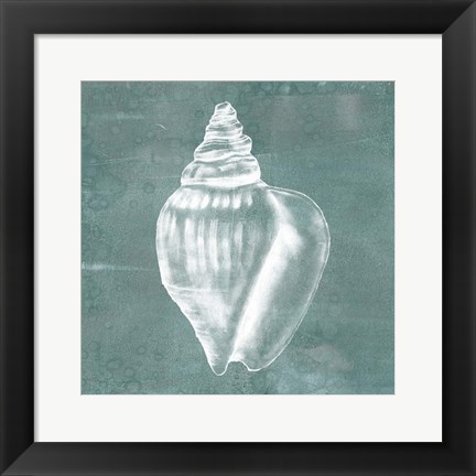 Framed Solitary Shell II Print