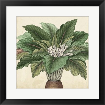 Framed Garden Bounty V Print