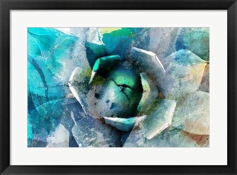 Framed Agave Abstract I Print