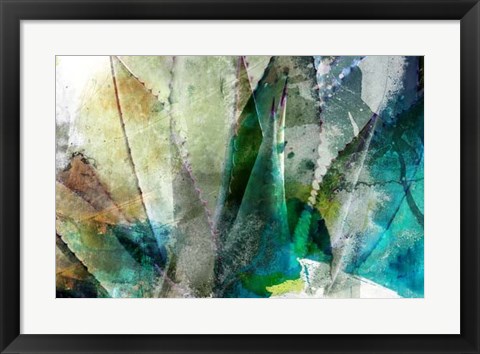 Framed Agave Abstract II Print